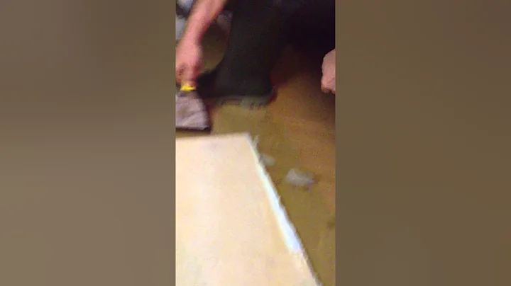 IMG 0613