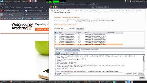 Exploiting cross-site scripting to steal cookies