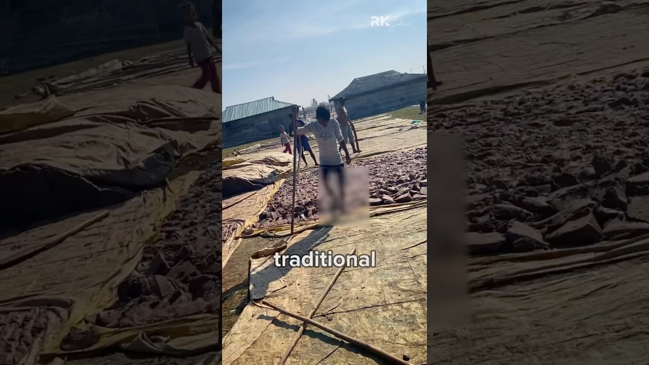 নাপ্পি কীভাবে তৈরি হয়? | Traditional Nappi Making Process Explained | Traditional Food Bangladesh