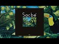 Sacbé - Las Pulgas Freeway