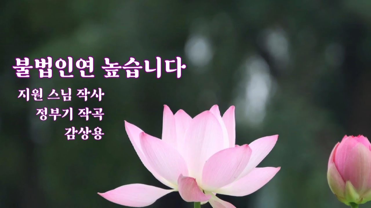 YouTubeで찬불가 6곡  감상용 연주곡を視聴