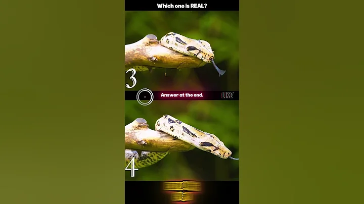 Only 1% Can Solve This Visual Puzzle! 🧠👀