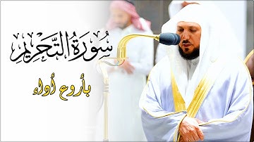تلاوة تحبيرية بديعة من الشيخ د. ماهر المعيقلي لأواخر سـورة التحريم | عشاء الإثنين ١٣-١١-١٤٤٣هـ
