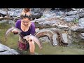 Women found snakehead murrel for cook with baby corn at bamboo hut - Eating delicious