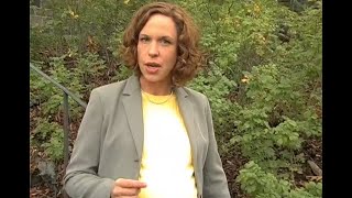 "Whistle & Snap" a short comedy