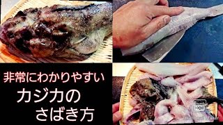 かじかのさばき方 Youtube かじかのさばき方 Youtube