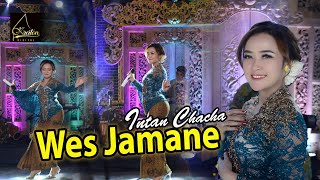 Intan Chacha - Wes Jamane