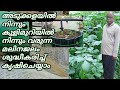 മലിന ജലം ശുദ്ധികരിച്ച് കൃഷിക്ക് ഉപയോഗിക്കാം| Kitchen Water Recycling System| How To Reuse Wastewater