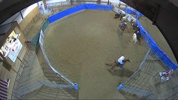 Big Sky Ranch Sorting Saddle Series #4 - #7 SORT - Round #2 - Ride #24