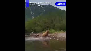 Медведица погналась за туристами