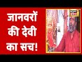 देवी दरबार में जंगली जानवर! जानवरों की देवी का सच! | Aadhi Haqeeqat Aadha Fasana