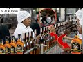 ▶ देखिये Factory में कैसे बनायीं जाती है, Black Dog व्हिस्की (Whisky) | Whisky Manufacturing Machine