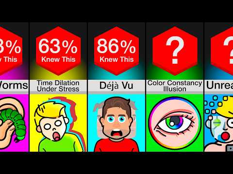Comparison: Every Brain Glitch Explained