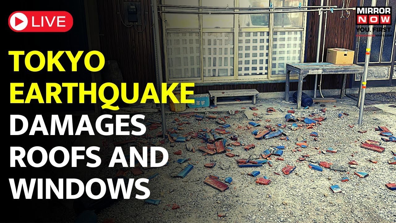Japan Earthquake Buildings, Roofs, Windows Damaged in Tokyo Rail