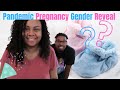 SURPRISE GENDER REVEAL! My husband was so nervous!