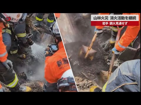 【速報】山林火災、消火活動を継続 岩手、鎮火見通せず