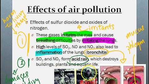Atmosphere Part 3)   Air Pollutants 2 (Effects)