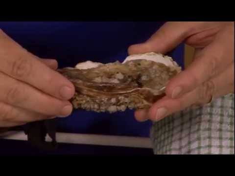 how-to-shuck-an-oyster---goodfood.com---bbc-food