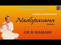 Dr n ramani  flute nadopasana   carnatic instrumental  juke box 