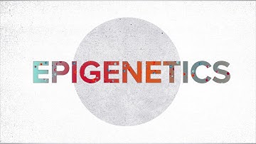 Epigenetics Explained | Penn Medicine