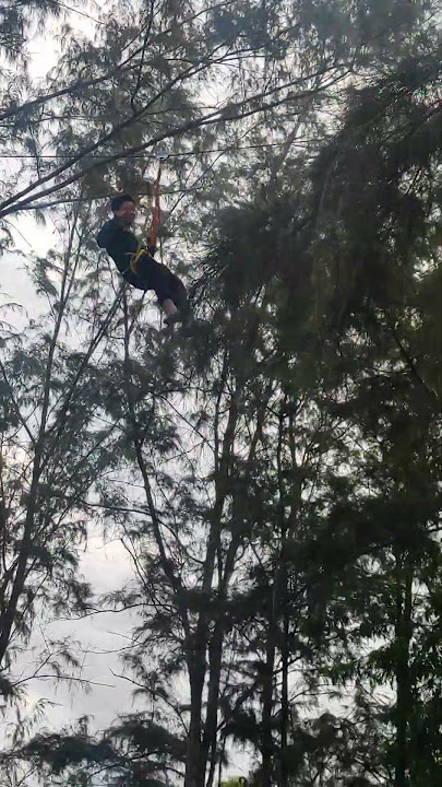 Valdi in action play flying Fox😁👍