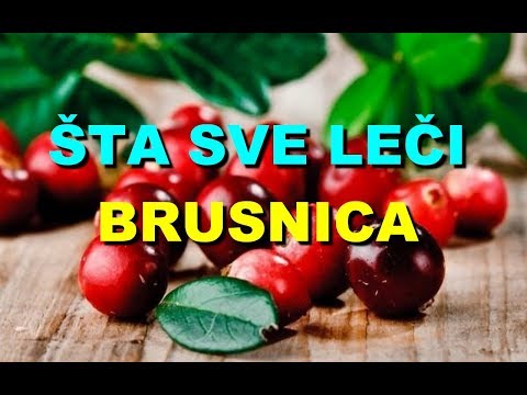 Video: Korisna I Ljekovita Svojstva Brusnice