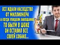 Бизнесмен завещал 5 миллионов долларов своей собаке. Все были в шоке, когда увидели завещание…