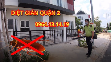 DIỆT GIÁN QUẬN 2 | THUỐC DIỆT GIÁN QUẬN 2 | DIỆT GIÁN