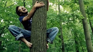 #رياضة_التسلق على الاشجار#الطبيعة خير معلم للطفل