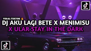 DJ AKU LAGI BETE X MENIMISU X ULAR STAY IN THE DARK SOUND ELY SYAHREZA VIRAL TIKTOK RENZ REMIXER