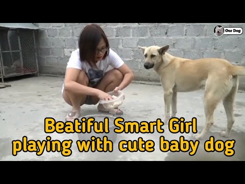 Beautiful smart girl Playing Cute Baby Dog In Rice Field