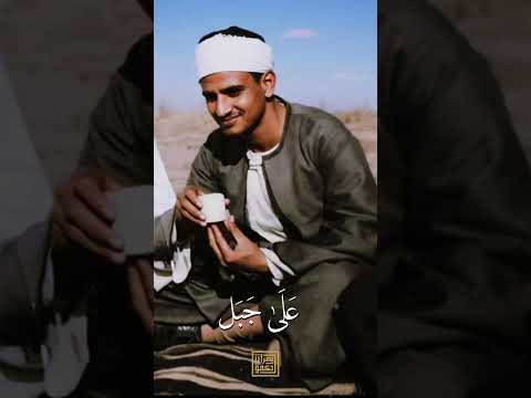 القارئ محمد صديق المنشاوي القرآن الكريم اكسبلور المنشاوي لايك عبد الباسط عبد الصمد