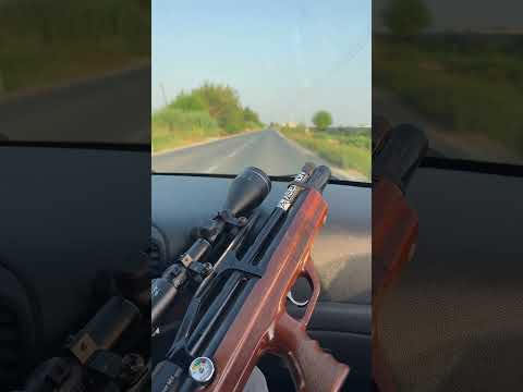 كولو للراد يهزنا لسعنا ما عجزنا اكسبلور صيد