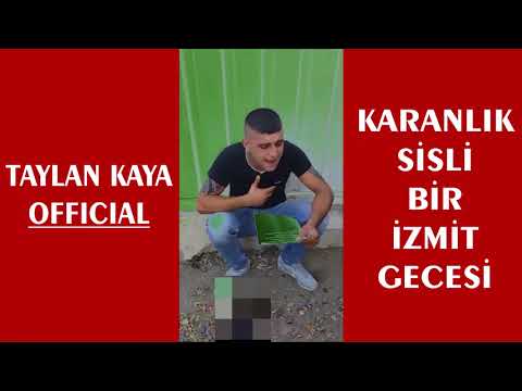 Taylan Kaya - Karanlık Sisli Bir İzmit Gecesi