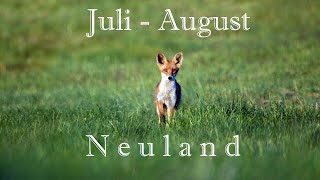 340  - Juli-August-Neuland 1. Teil