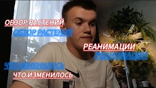 :   |  |   | 