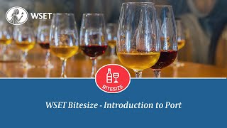 WSET Bitesize - Introduction to Port