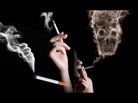 Вредны ли сигары для человеческого организма