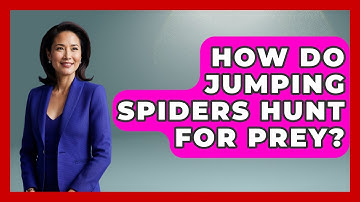 How Do Jumping Spiders Hunt For Prey? - Insects and Invaders