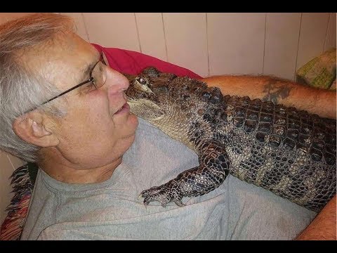lizard skin grips Emotional support Alligator!?!?!?!