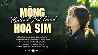 Mộng Hoa Sim, Anh Đau Từ Em Đi, Ngỡ ♫ BXH Nhạc Ballad Buồn Tâm Trạng Top Xu Hướng 2025 Triệu View