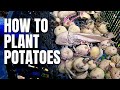My No Stress Potato Guide For You