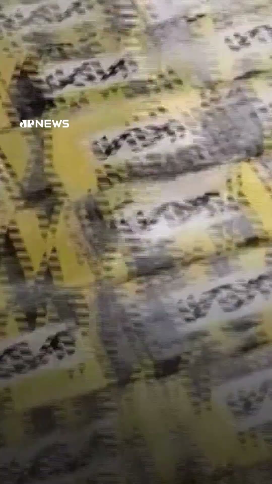 Rússia apreende meia tonelada de cocaína destinada à Europa #Shorts