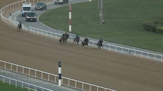 MEYDAN TRIALS 121125 TRIAL 1