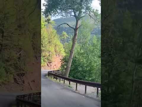 וִידֵאוֹ: Catskills Scenic Drive - סיור נהיגה בכבישים אחוריים