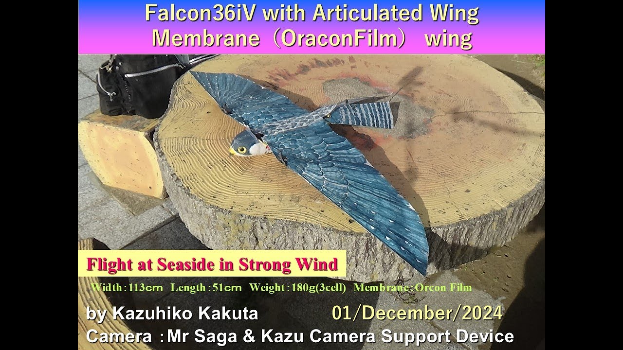 Dragonscaler Fligth Path CF 龍鱗の飛行進路 JP】《Rainbow Foil》[竜系] 竜鱗の飛行進路/Dragonscaler