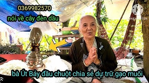 Bà lão chia sẻ cây đèn dầu gạo muối mưa bão tâm linh phật pháp