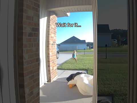 The Duck Reveal Was So Cinematic Tbh Duck Ducks Fails HorrorMovie