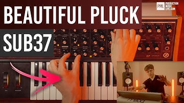 Moog Sub37 Tutorial | Melodic Techno Arpeggio Pluck | Rodriguez Jr, Stephan Bodzin Style