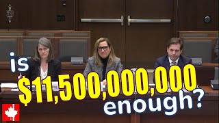 Will $11.5 billion solve Canada's housing crisis? | Build Canada Homes on the hot seat
